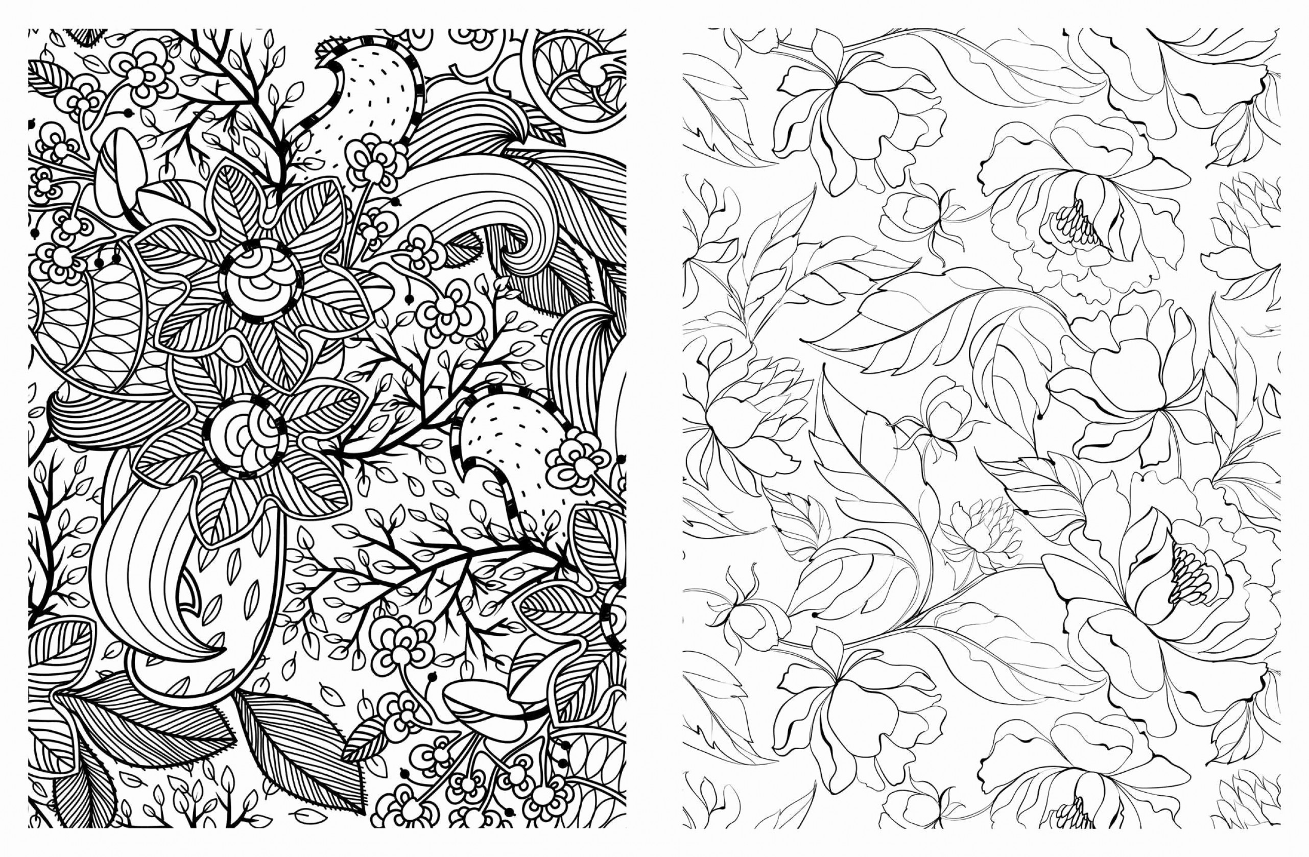 2563x1678 Bible Vector Lovely