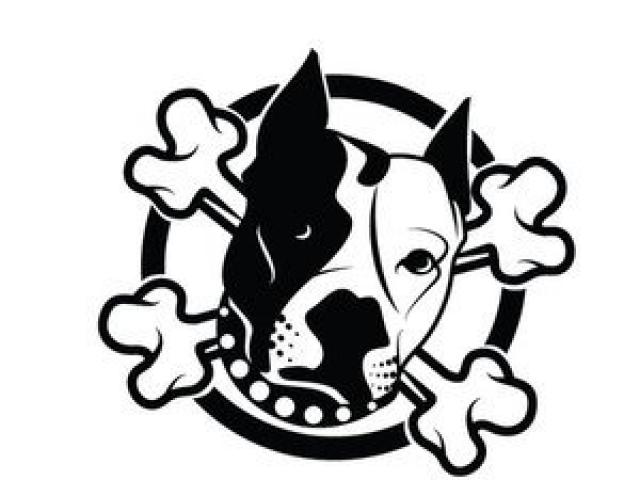 640x480 Public Domans