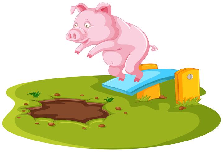 718x490 Pig Jumping In Muddy Puddle