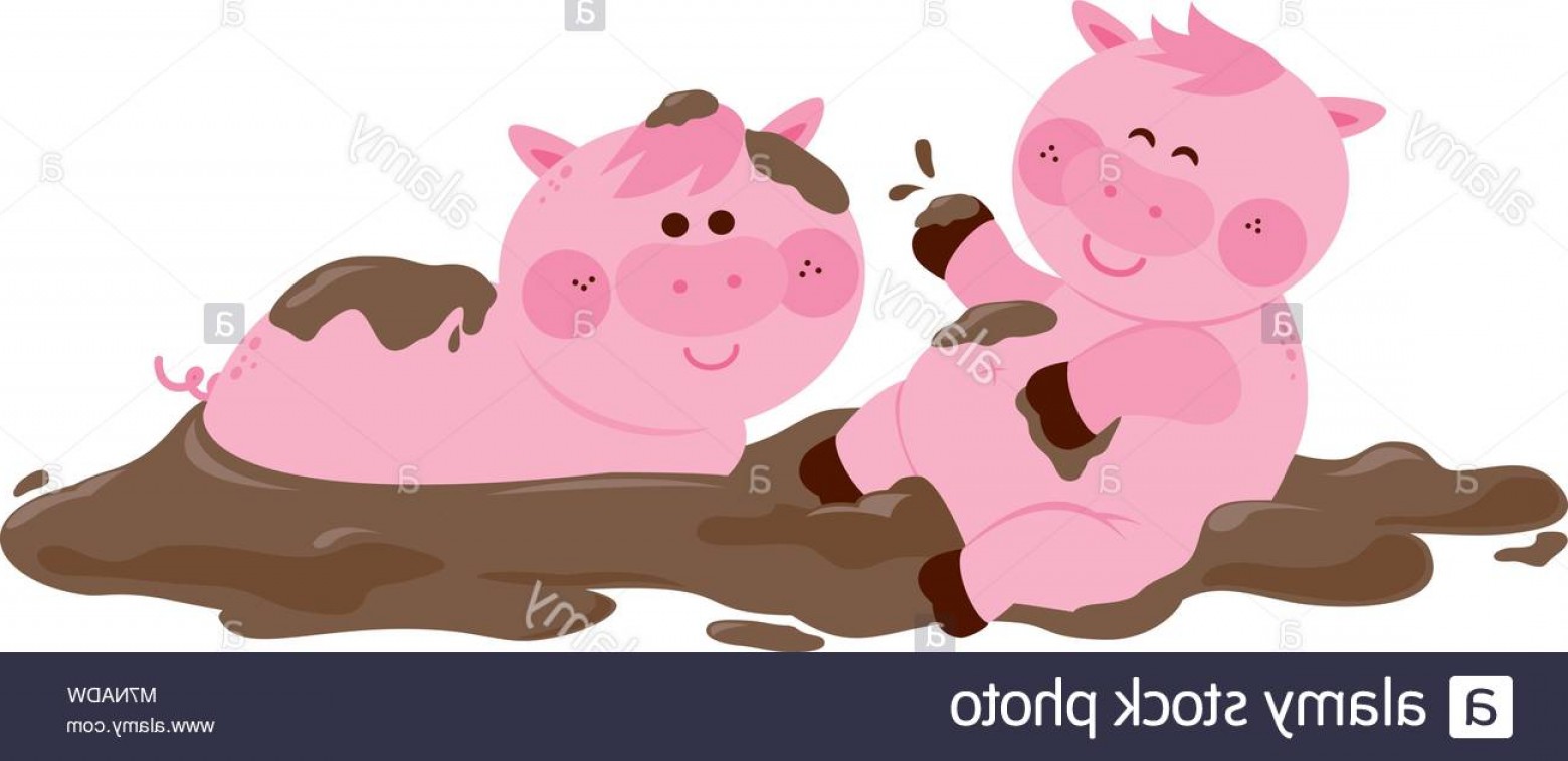 1560x757 Stock Photo Pigs Playing In A Mud Puddle Vector Illustration