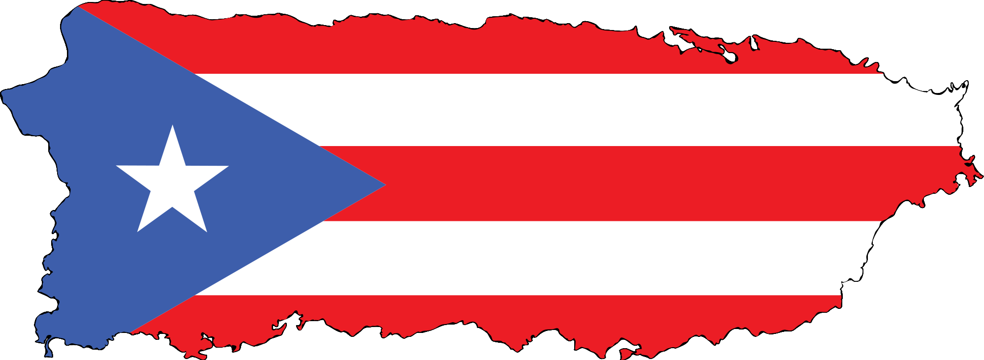 Puerto Rico Flag Vector