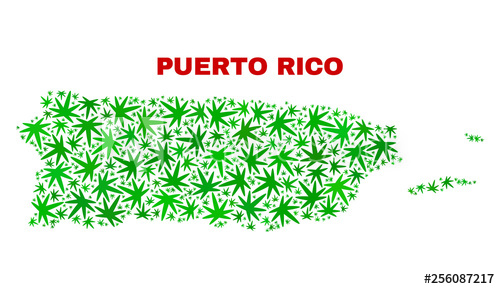 500x289 Vector Cannabis Puerto Rico Map Mosaic Concept With Green Weed