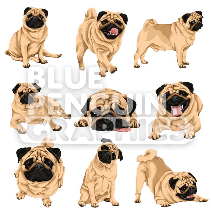 700x700 Pug Dog Bundle Set Vector Clipart Blue Penguin Graphics