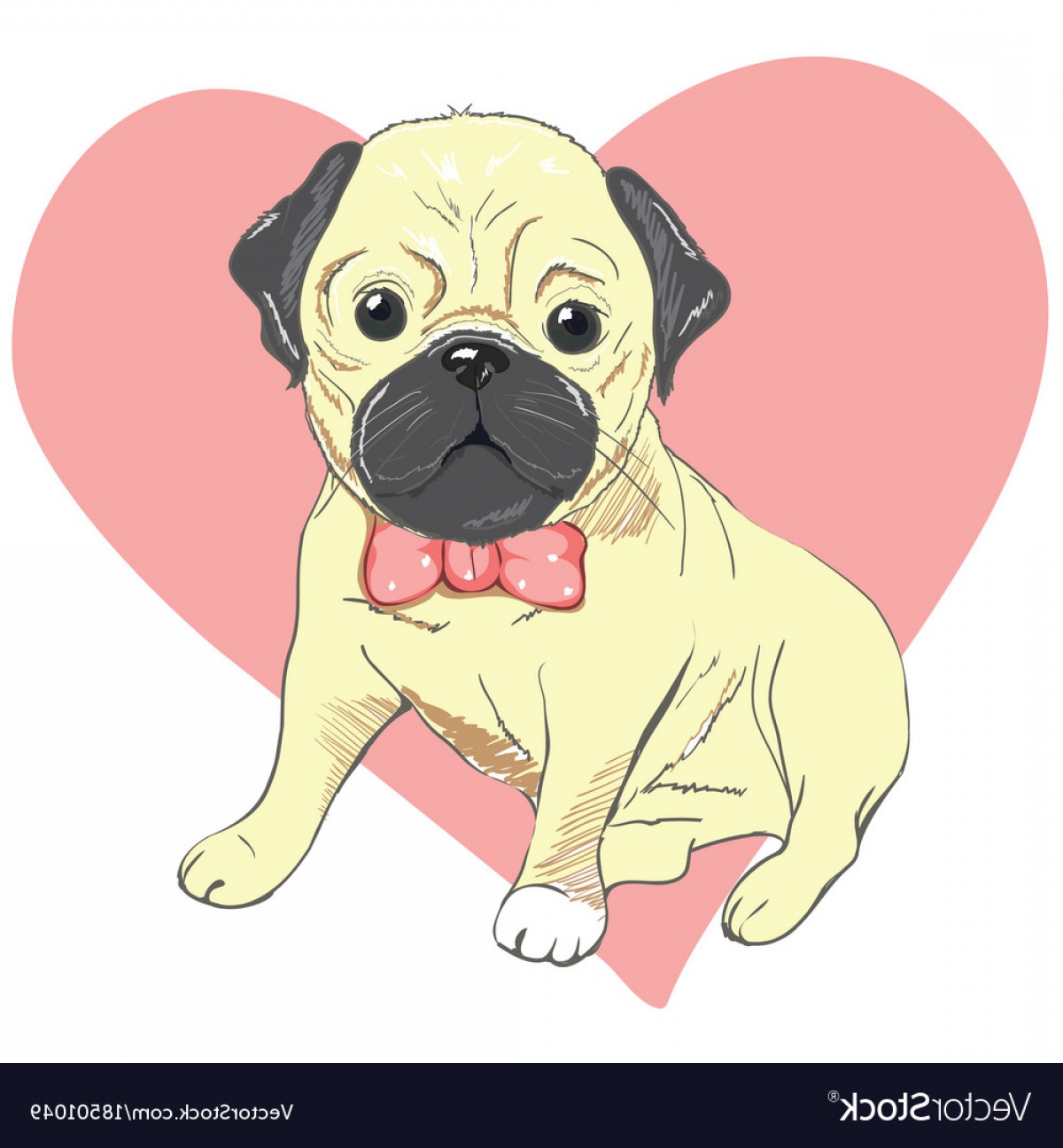 1200x1296 Pug Dog Face Isolated On White Background Vector Soidergi