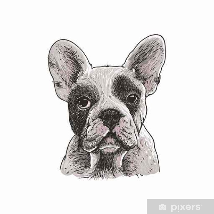 700x700 Pug Dog Vector Illustration Poster
