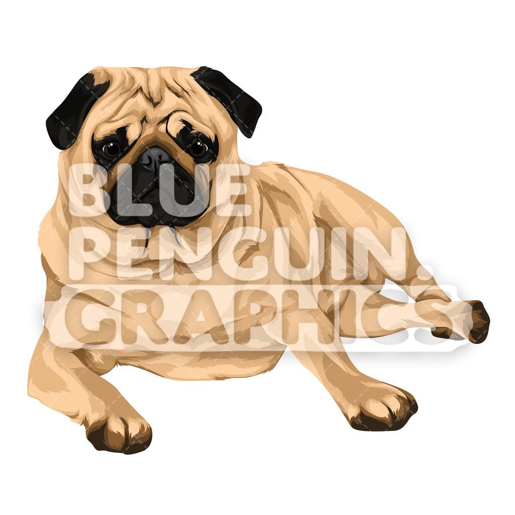 1024x1024 Pug Dog Version Vector Cartoon Clipart Illustration Dogs