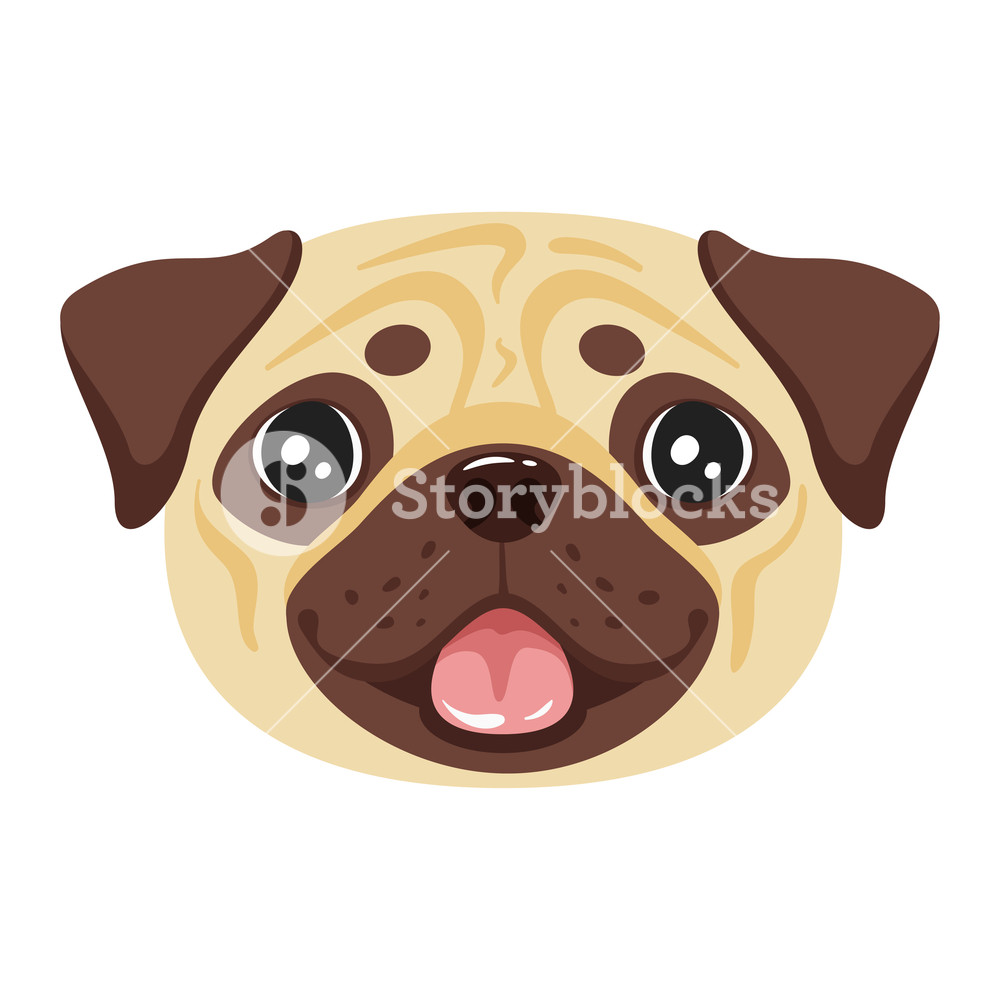 1000x1000 Pug Dog Face Adorable Pet Vector Illustration Isolated On White