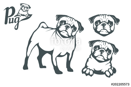 500x334 Pug Dog Set Head Of An Pug Pets For Design Vector Graphics