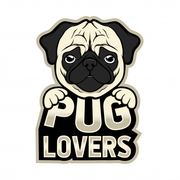 626x626 Pugdog Vectors, Photos And Free Download