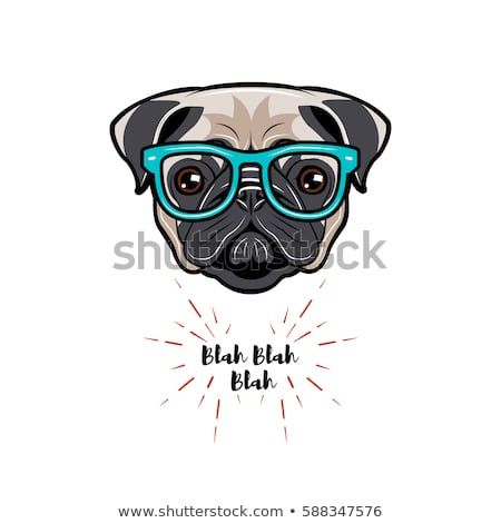 450x470 Cute Portrait Of Nerdy Pug Dog Vector Illustration Isolated