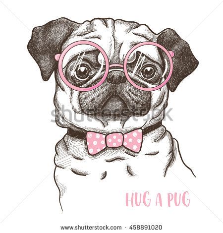 450x470 Vector Illustration Of A Hand Drawn Funny Fashionable Pug Dogs