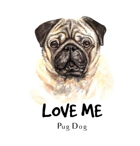 468x490 Watercolor Pug Of A Dog