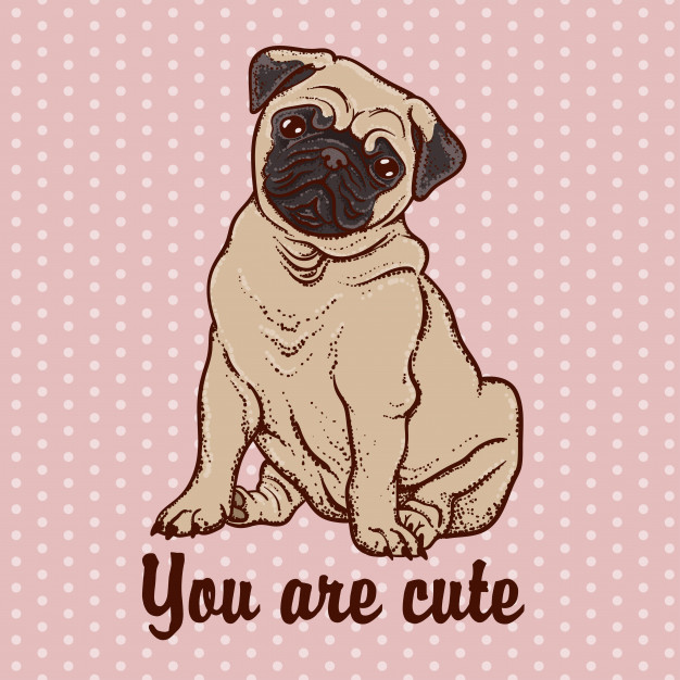 626x626 Cute Pug Dog Vector Premium Download