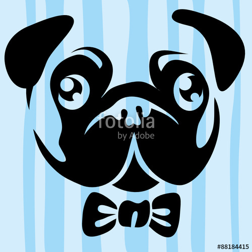 500x500 Pug Face Stock Image And Royalty Free Vector