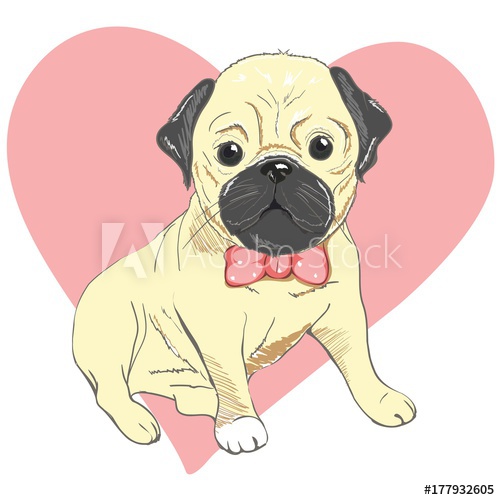 500x500 Pug Dog Face
