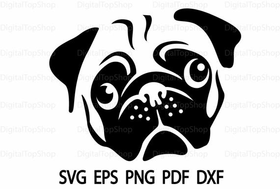 570x385 Pug Face