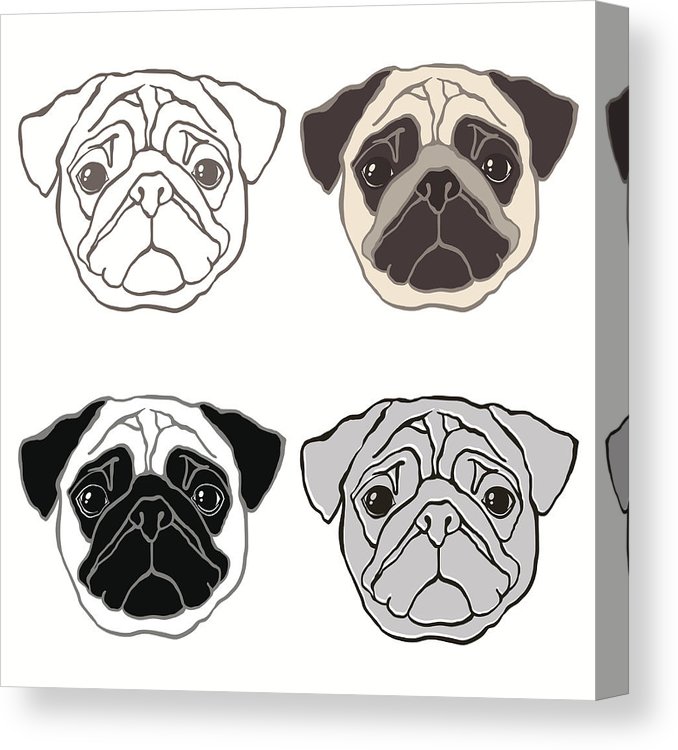 678x750 Vector Set Of Pug's Face Sketch, Four Variants Canvas Print