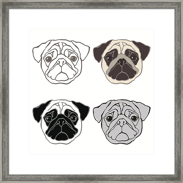 600x600 Vector Set Of Pug's Face Sketch, Four Variants Framed Print