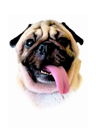318x450 Pug Dog Face Smile Vector Royalty Free Vector Graphics