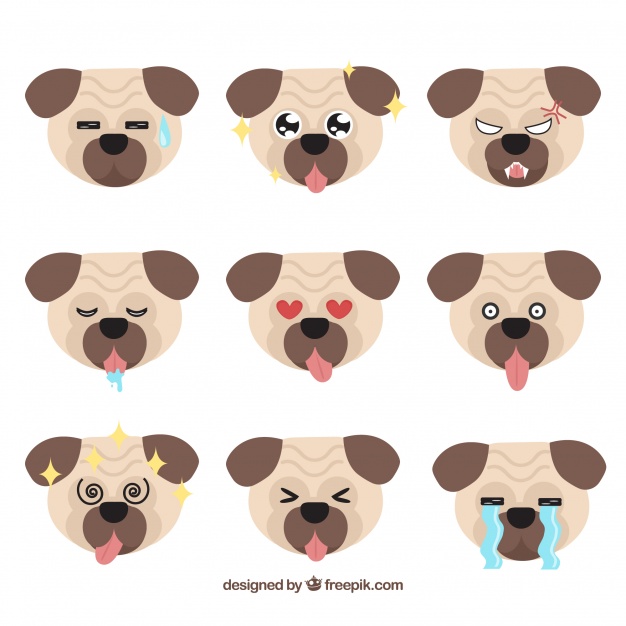 626x626 Fun Variety Of Pug Faces Vector Free Download