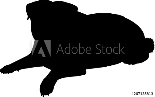 500x313 Pug Isolated Vector Silhouette