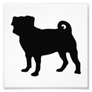 307x307 Pug Vectors Gifts Art Wall Zazzle Ca