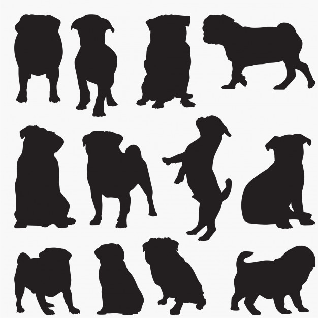626x626 Pug Dog Silhouettes Vector Premium Download