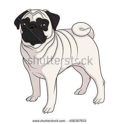 450x470 Color Vector Image Of A Pug Isolated Object On White