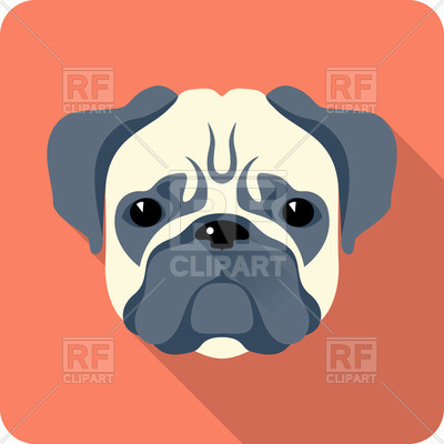 400x400 Dog Pug