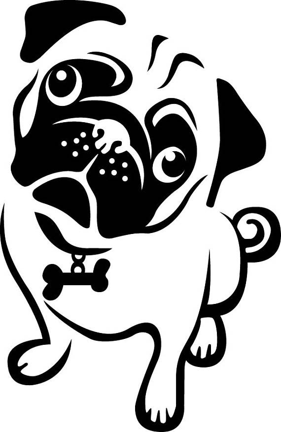 570x877 Pug Clipart Black And White