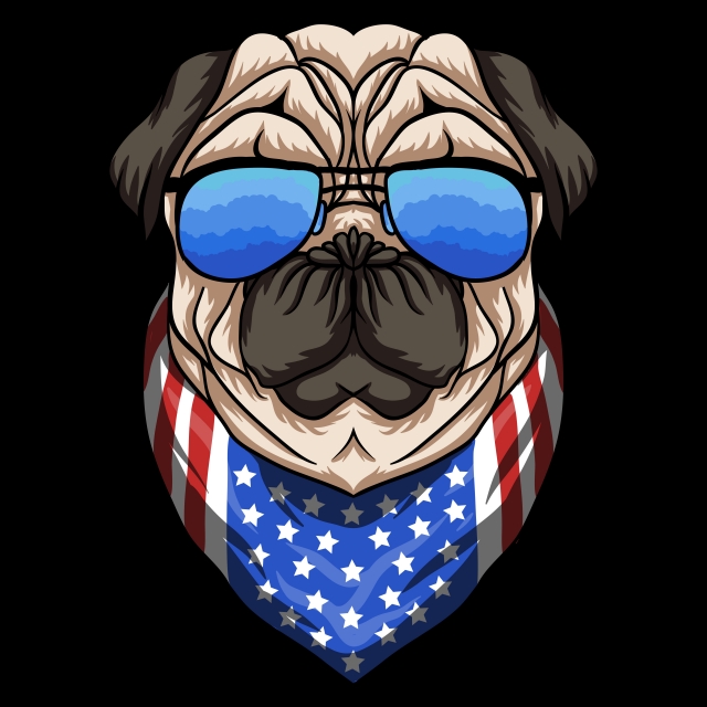 640x640 Pug Dog Png, Vector, And Clipart With Transparent Background