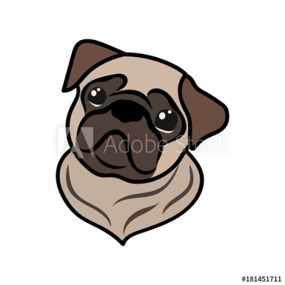 400x400 Pug Png