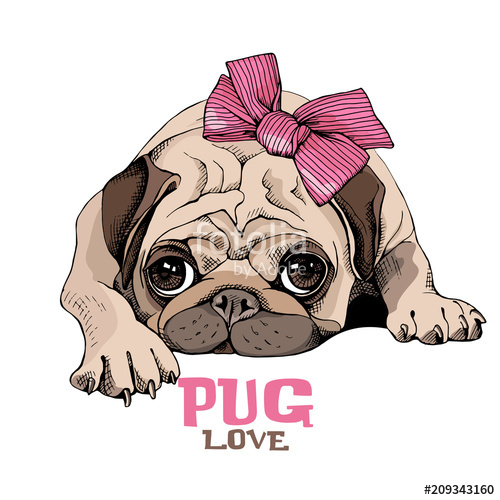 500x500 Pug Puppy With A Pink Bow Vector Illustration Stock Image