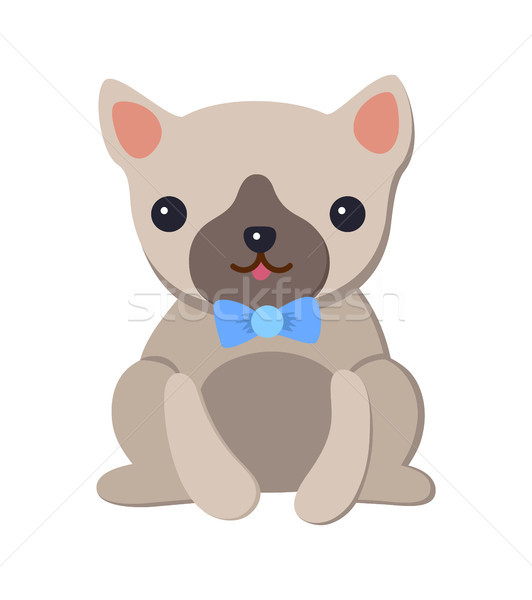 532x600 Pug Stock Vectors, Illustrations And Cliparts Stockfresh