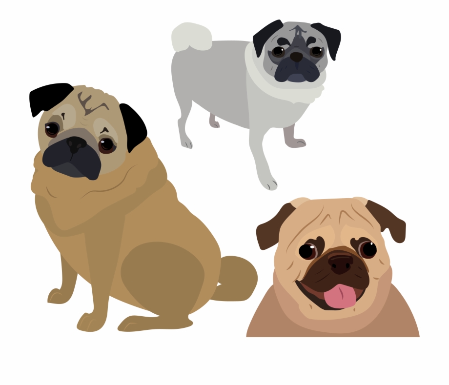 920x789 Pug Vector