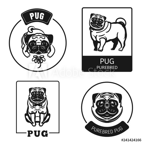 500x500 Pug Icon Set Simple Set Of Pug Vector Icons For Web Design