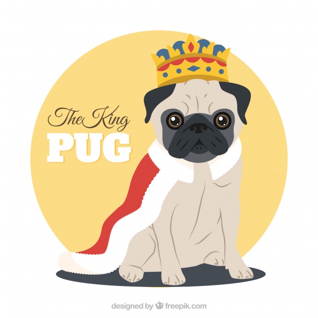 626x626 Cute Pug With King Costume Vector Free Download