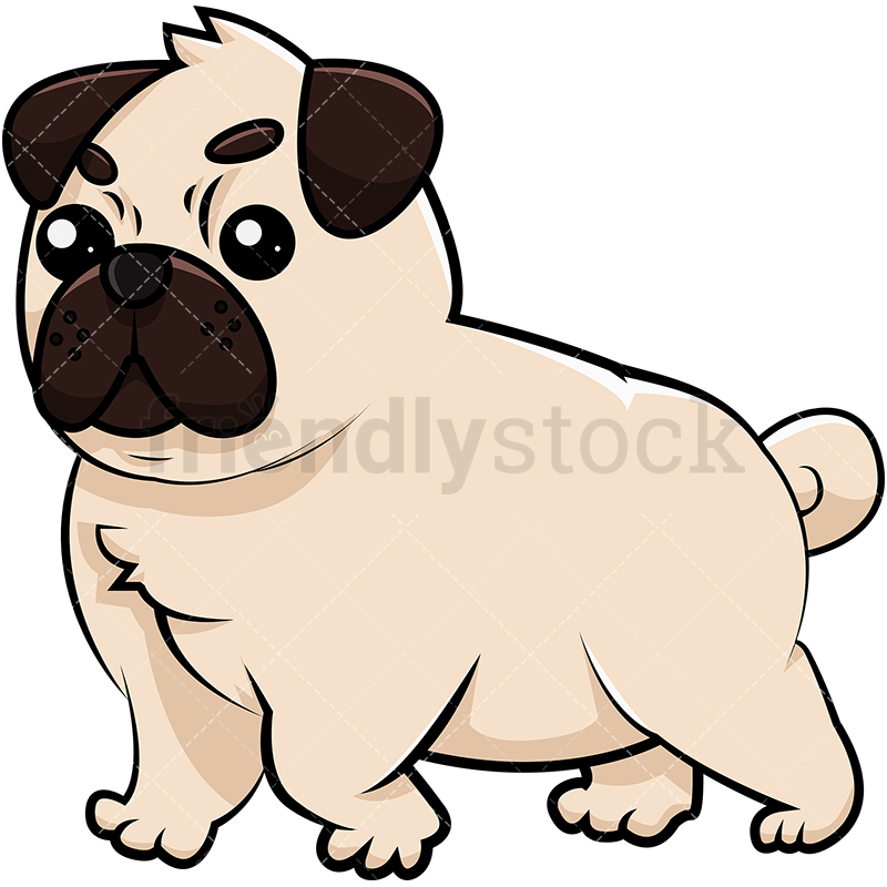 800x800 Adorable Chubby Pug Cartoon Vector Clipart