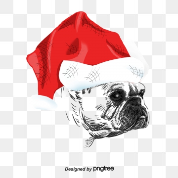360x360 Pug Vector, Free Download Pugs, Pug Dog, Pug Yoga Vector Art