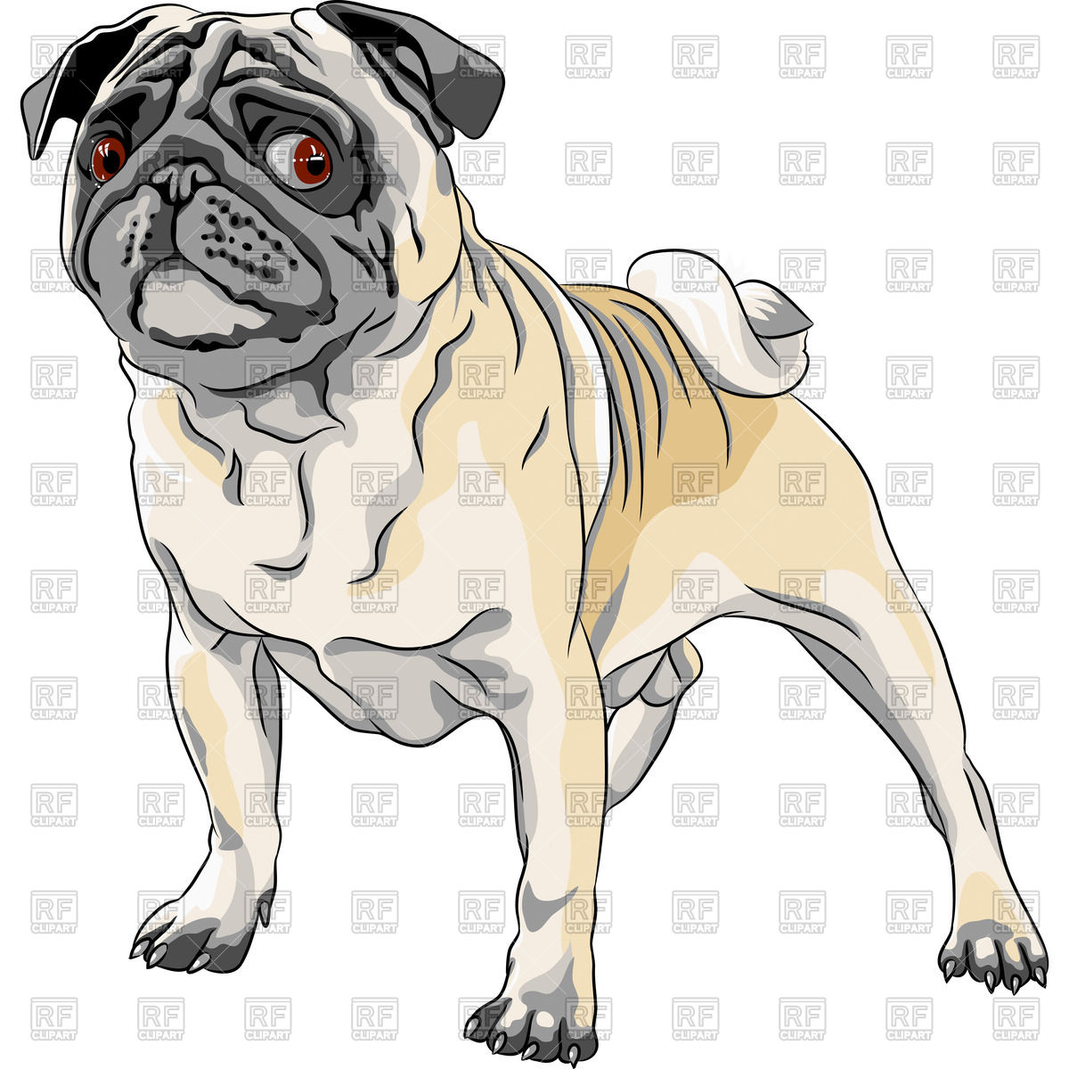 1200x1200 Pug In Show Stacking Vector Image Of Plants And Animals