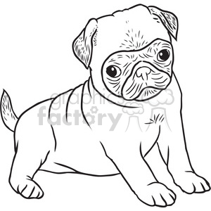 300x300 Pug Dog Vector Rf Clip Art Images Clipart Royalty Free Gif