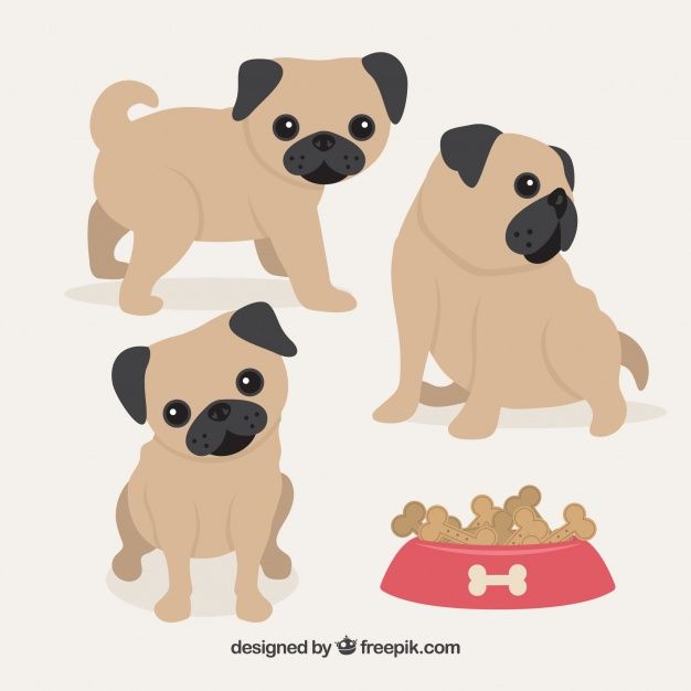 626x626 Cute Baby Pug Dogs Free Vector Party Printables Baby Pug Dog