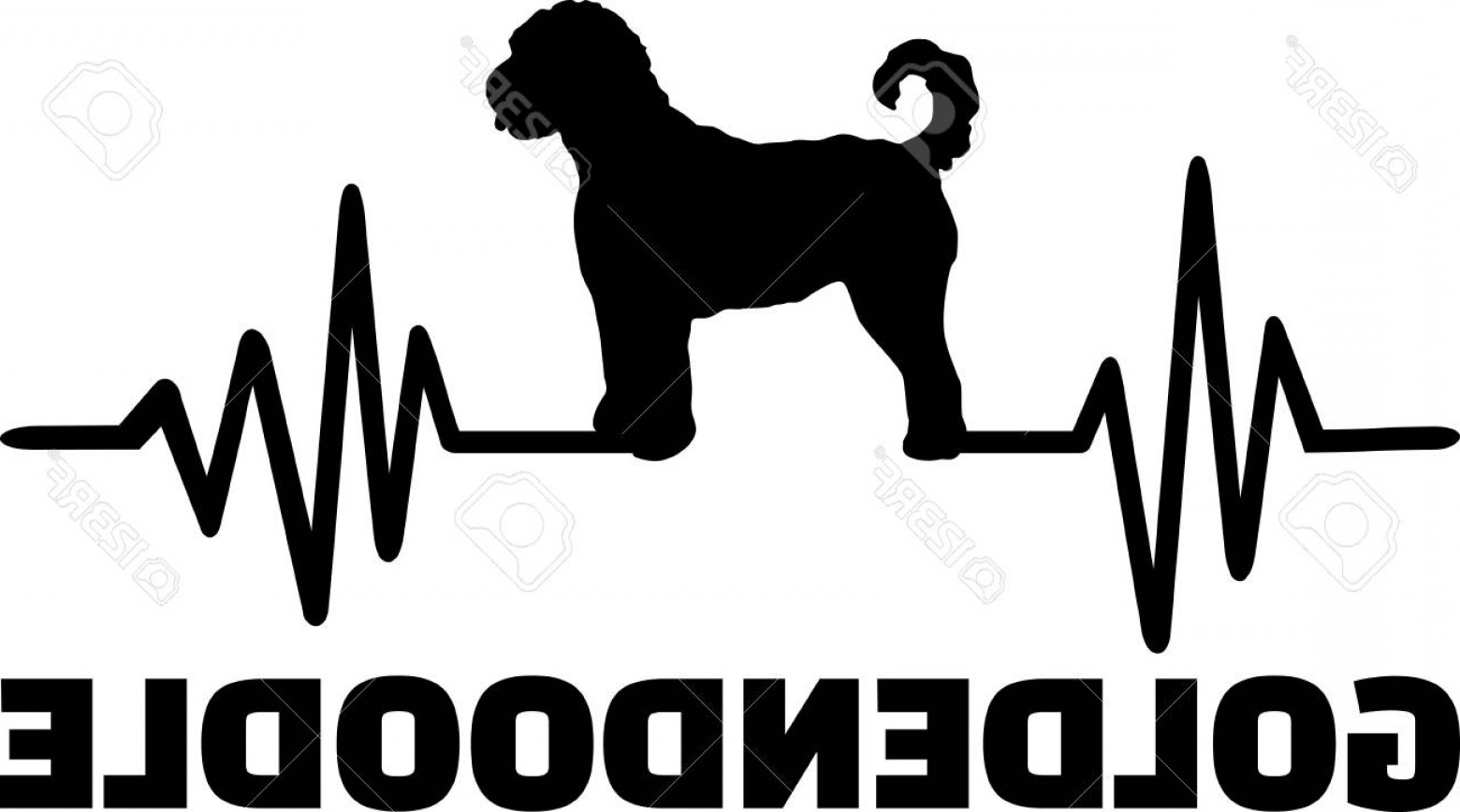 1560x868 Goldendoodle Dog Vector Hoodamath