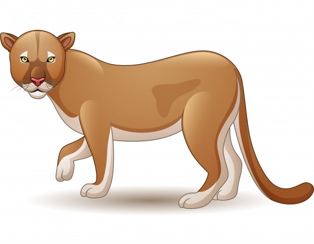 626x487 Puma Vectors, Photos And Free Download