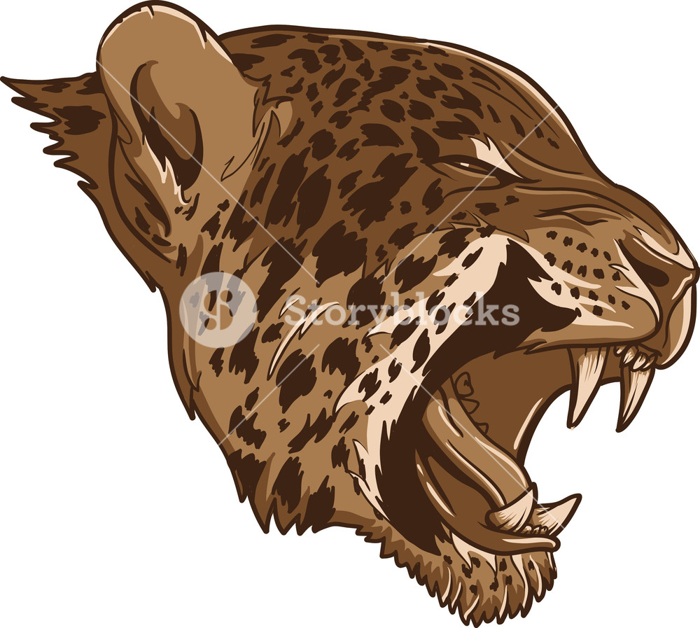 1000x897 Vector Puma Royalty Free Stock Image