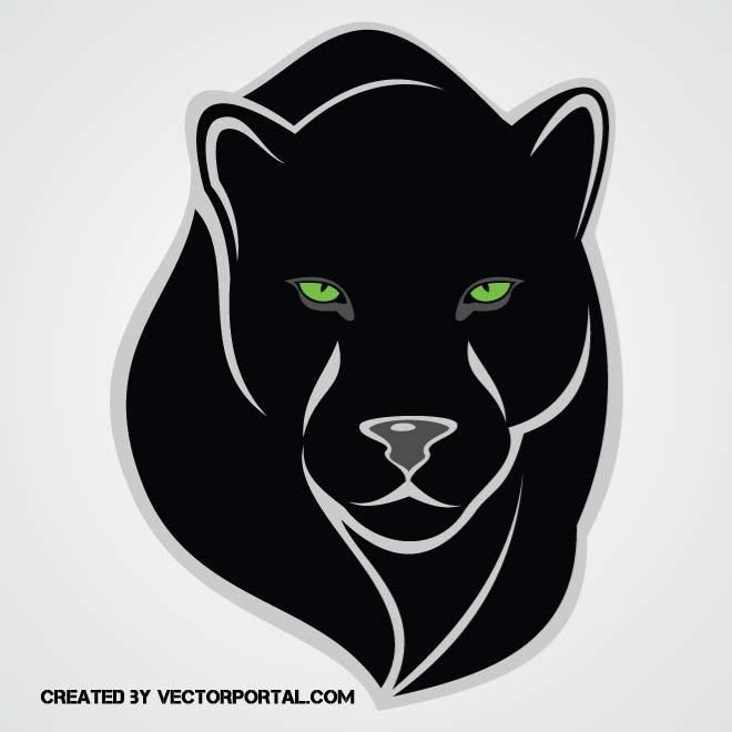 660x660 Vector Image Of A Black Puma With Green Eyes Animal Vectors