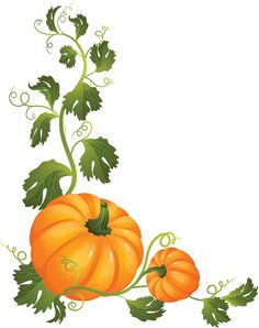 236x298 Pumpkin Vine Border Clipart