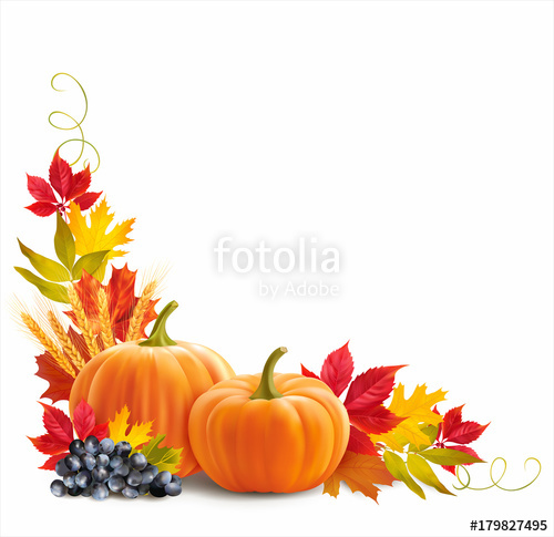500x485 Thanksgiving Border With Pumpkins, Wheat Ears And Leaves On White