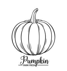 238x250 Hand Drawn Pumpkn Vector Tatoo In Pumpkin Vector