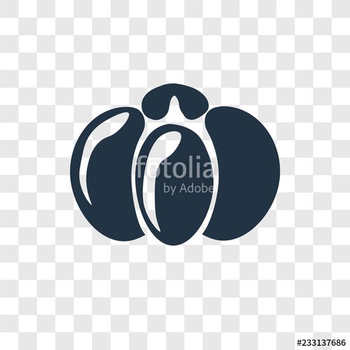 500x500 Pumpkn Vector Isolated On White Background, Logo Concept